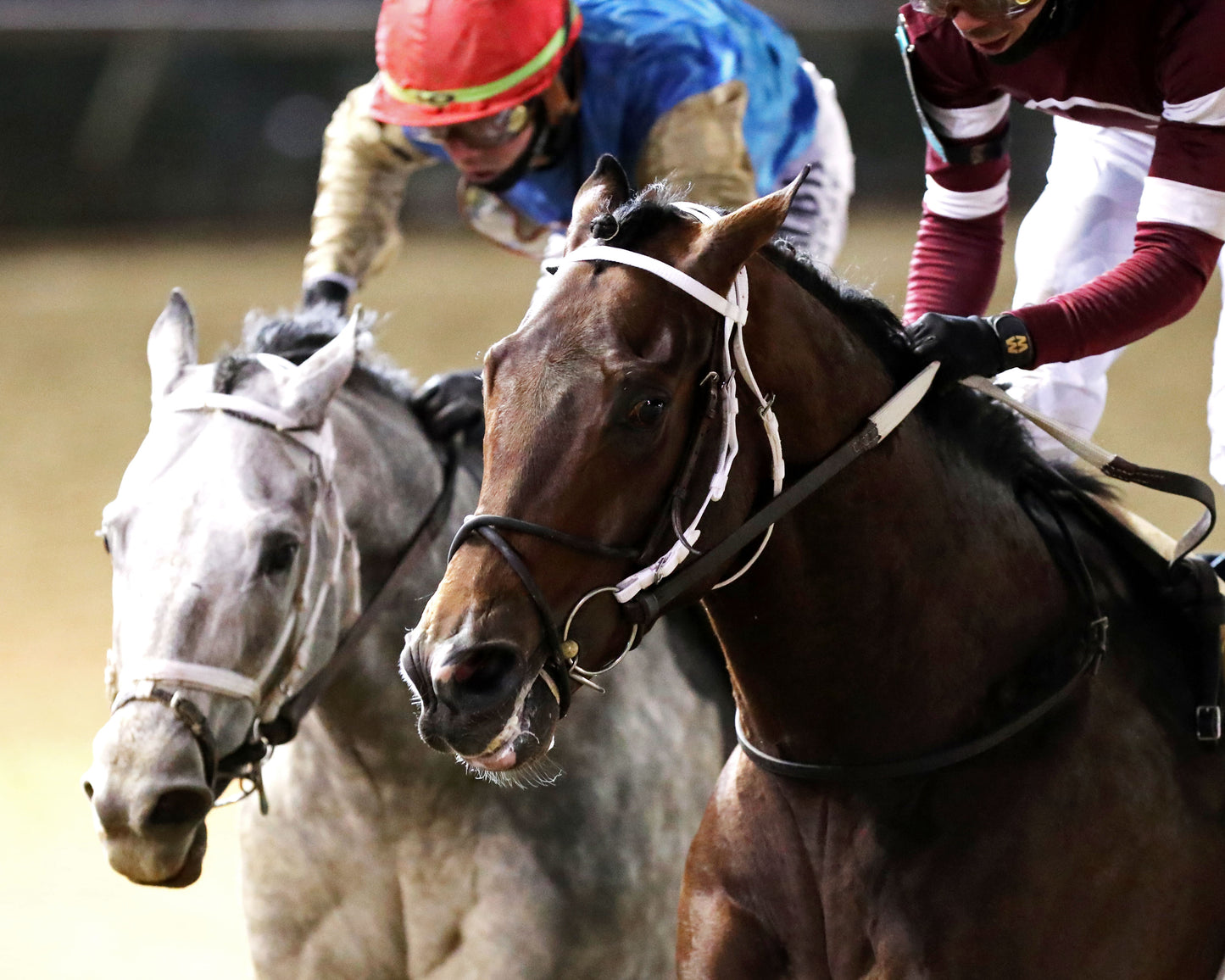 MAGNITUDE - The Clark G2 - 11-28-25 - R11 - CD - Gallop Out 01