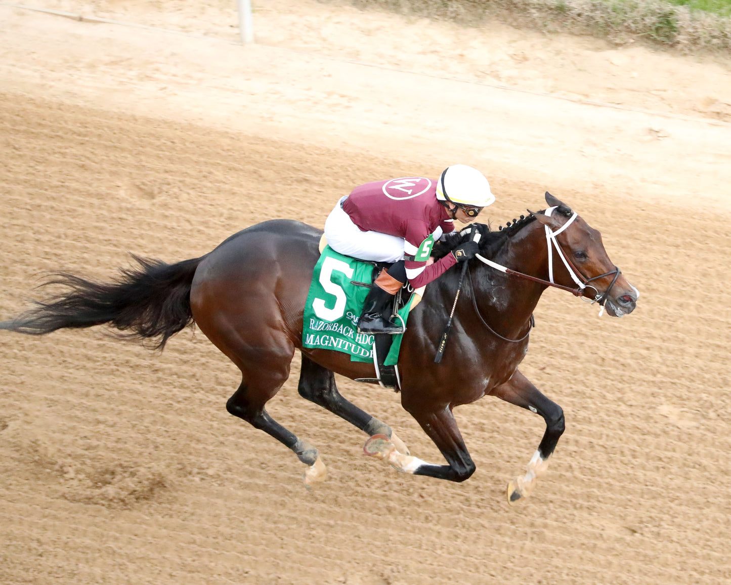 MAGNITUDE - The Razorback Handicap G3 - 02-28-26 - R10 - OP - Aerial Finish 01 - Coady Media - Kurtis Coady Photography