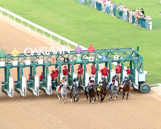 MAGNITUDE - The Razorback Handicap G3 - 02-28-26 - R10 - OP - Aerial Start 01 - Coady Media - Kurtis Coady Photography