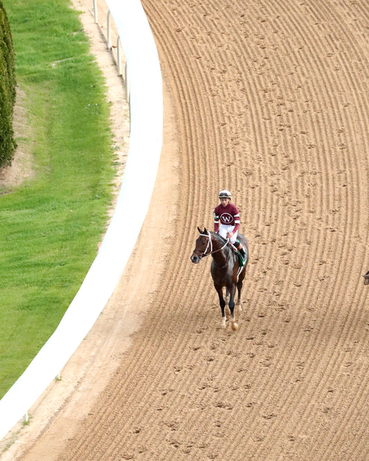 MAGNITUDE - The Razorback Handicap G3 - 02-28-26 - R10 - OP - Come Back 02 - Coady Media - Kurtis Coady Photography