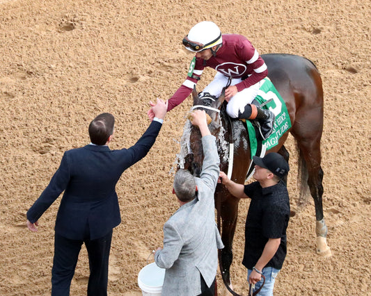 MAGNITUDE - The Razorback Handicap G3 - 02-28-26 - R10 - OP - Come Back 03 - Coady Media - Kurtis Coady Photography