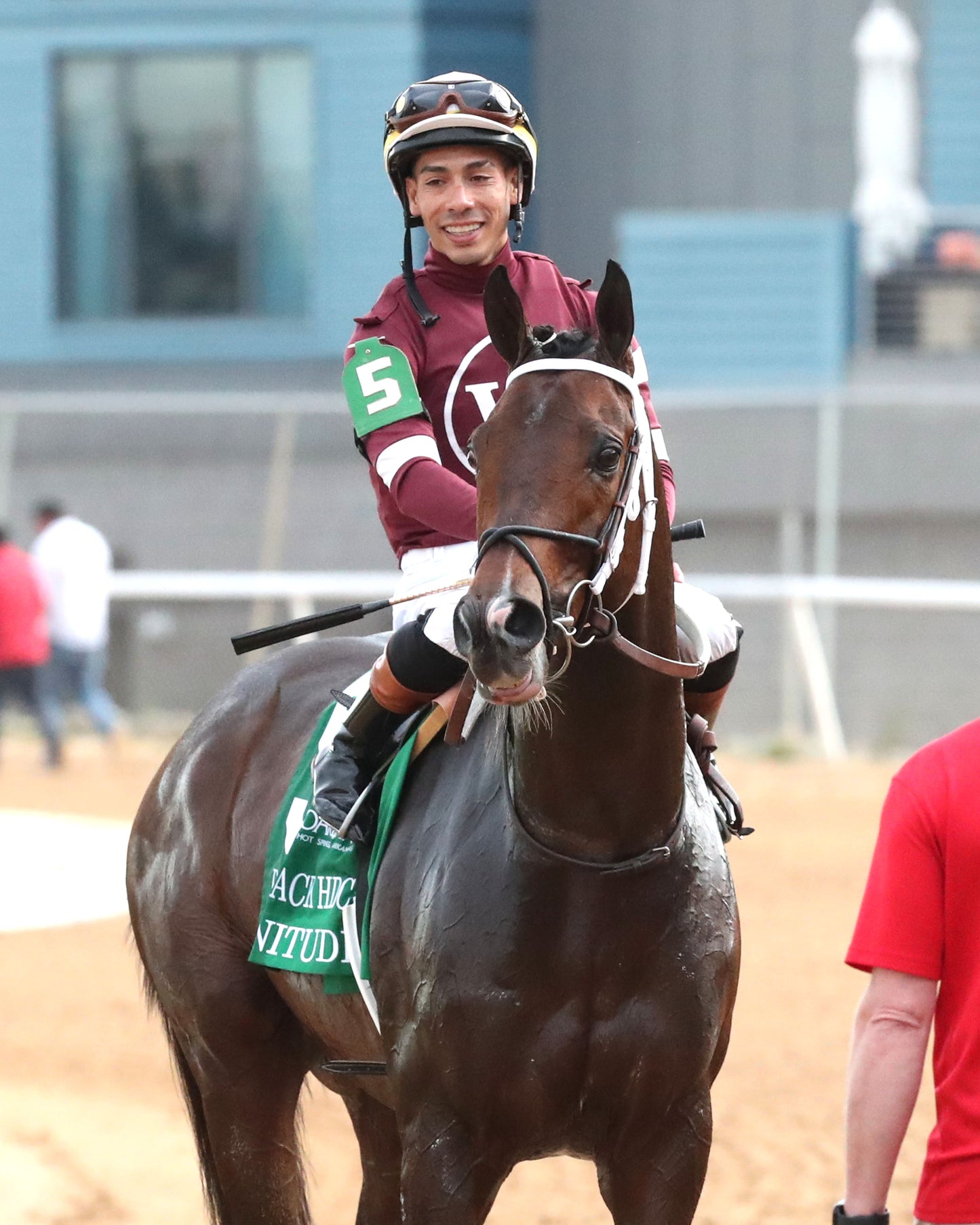 MAGNITUDE - The Razorback Handicap G3 - 02-28-26 - R10 - OP - Come Back 05 - Coady Media - Kurtis Coady Photography