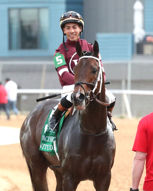 MAGNITUDE - The Razorback Handicap G3 - 02-28-26 - R10 - OP - Come Back 05 - Coady Media - Kurtis Coady Photography