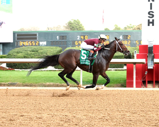 MAGNITUDE - The Razorback Handicap G3 - 02-28-26 - R10 - OP - Finish 01 - Coady Media - Kurtis Coady Photography