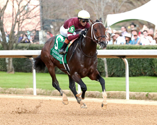 MAGNITUDE - The Razorback Handicap G3 - 02-28-26 - R10 - OP - Finish 02 - Coady Media - Kurtis Coady Photography
