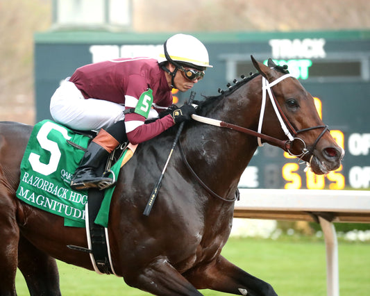 MAGNITUDE - The Razorback Handicap G3 - 02-28-26 - R10 - OP - Finish 03 - Coady Media - Kurtis Coady Photography