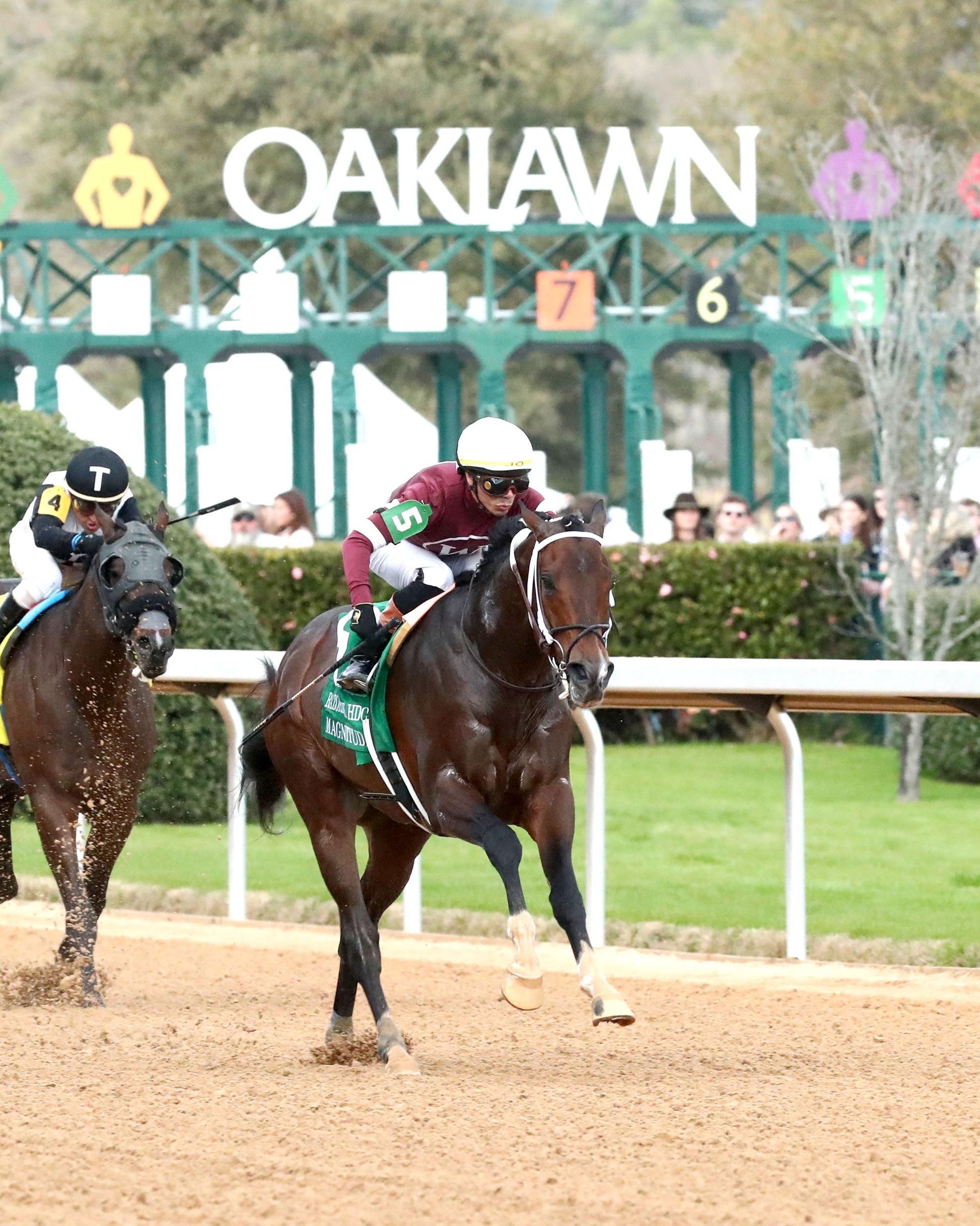 MAGNITUDE - The Razorback Handicap G3 - 02-28-26 - R10 - OP - Finish 04 - Coady Media - Kurtis Coady Photography