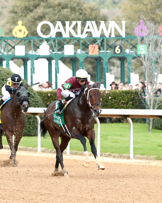 MAGNITUDE - The Razorback Handicap G3 - 02-28-26 - R10 - OP - Finish 04 - Coady Media - Kurtis Coady Photography