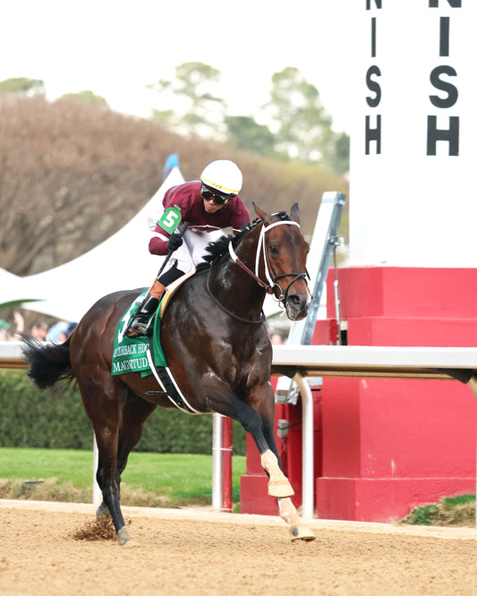 MAGNITUDE - The Razorback Handicap G3 - 02-28-26 - R10 - OP - Finish 05 - Coady Media - Kurtis Coady Photography