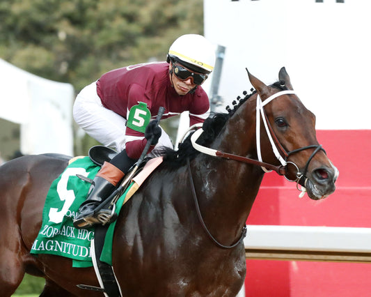 MAGNITUDE - The Razorback Handicap G3 - 02-28-26 - R10 - OP - Finish 06 - Coady Media - Kurtis Coady Photography