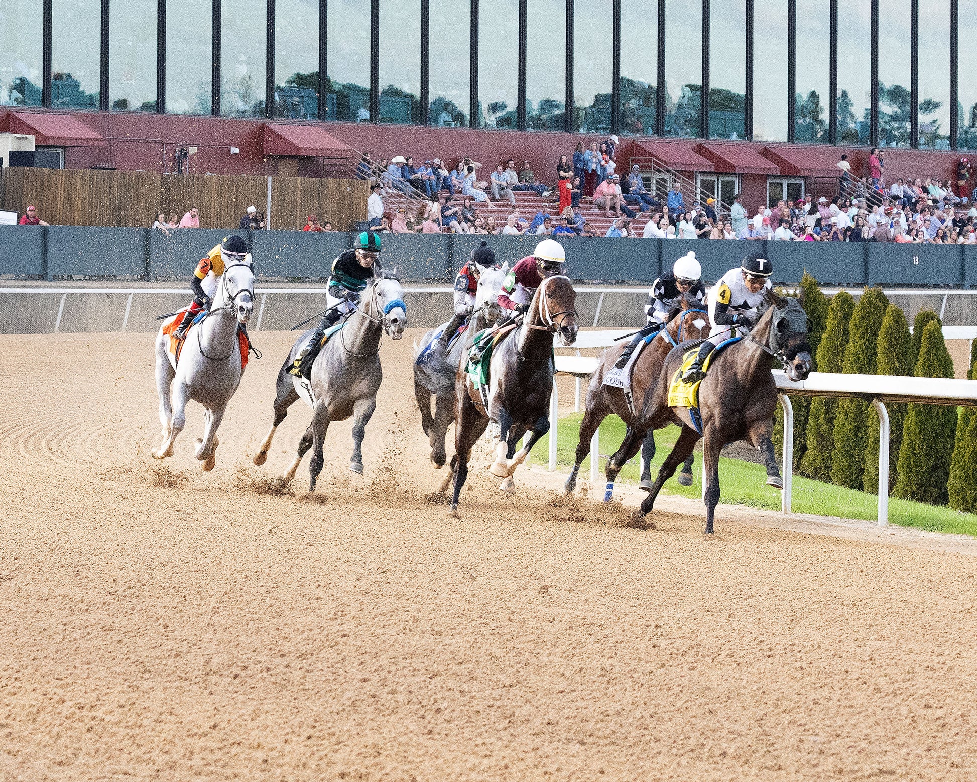 MAGNITUDE - The Razorback Handicap G3 - 02-28-26 - R10 - OP - First Turn 01 - Coady Media - Kurtis Coady Photography