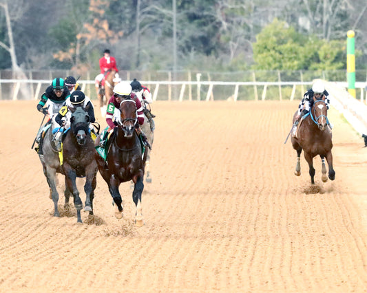 MAGNITUDE - The Razorback Handicap G3 - 02-28-26 - R10 - OP - Head On 01 - Coady Media - Kurtis Coady Photography