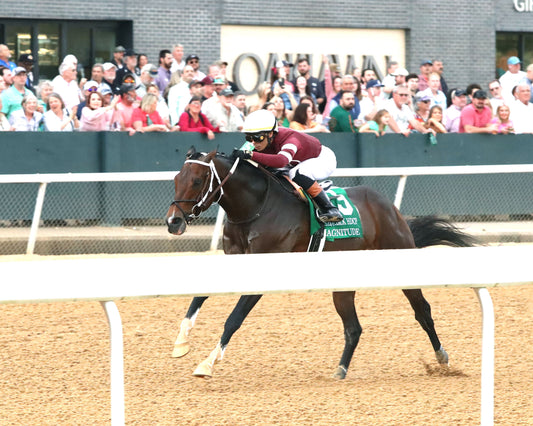 MAGNITUDE - The Razorback Handicap G3 - 02-28-26 - R10 - OP - Inside Finish 01 - Coady Media - Kurtis Coady Photography