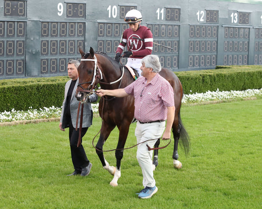 MAGNITUDE - The Razorback Handicap G3 - 02-28-26 - R10 - OP - Paddock 03 - Coady Media - Kurtis Coady Photography