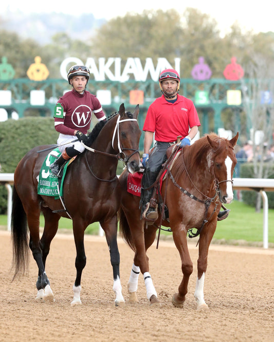 MAGNITUDE - The Razorback Handicap G3 - 02-28-26 - R10 - OP - Post Parade 01 - Coady Media - Kurtis Coady Photography