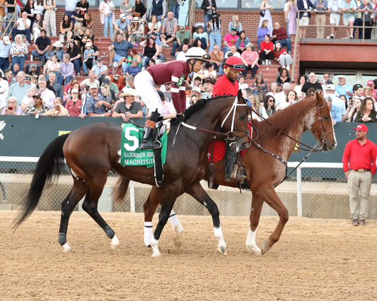 MAGNITUDE - The Razorback Handicap G3 - 02-28-26 - R10 - OP - Post Parade 02 - Coady Media - Kurtis Coady Photography