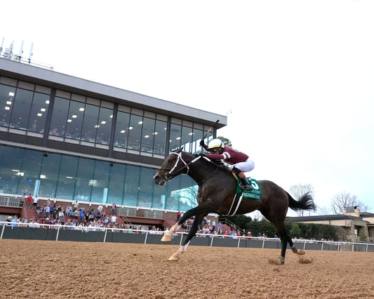 MAGNITUDE - The Razorback Handicap G3 - 02-28-26 - R10 - OP - Under Rail 01 - Coady Media - Kurtis Coady Photography