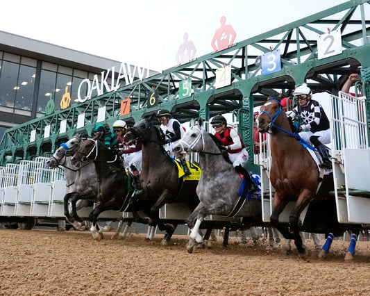 MAGNITUDE - The Razorback Handicap G3 - 02-28-26 - R10 - OP - Under Rail 02 - Coady Media - Kurtis Coady Photography