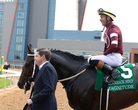 MAGNITUDE - The Razorback Handicap G3 - 02-28-26 - R10 - OP - Walk In 01 - Coady Media - Kurtis Coady Photography