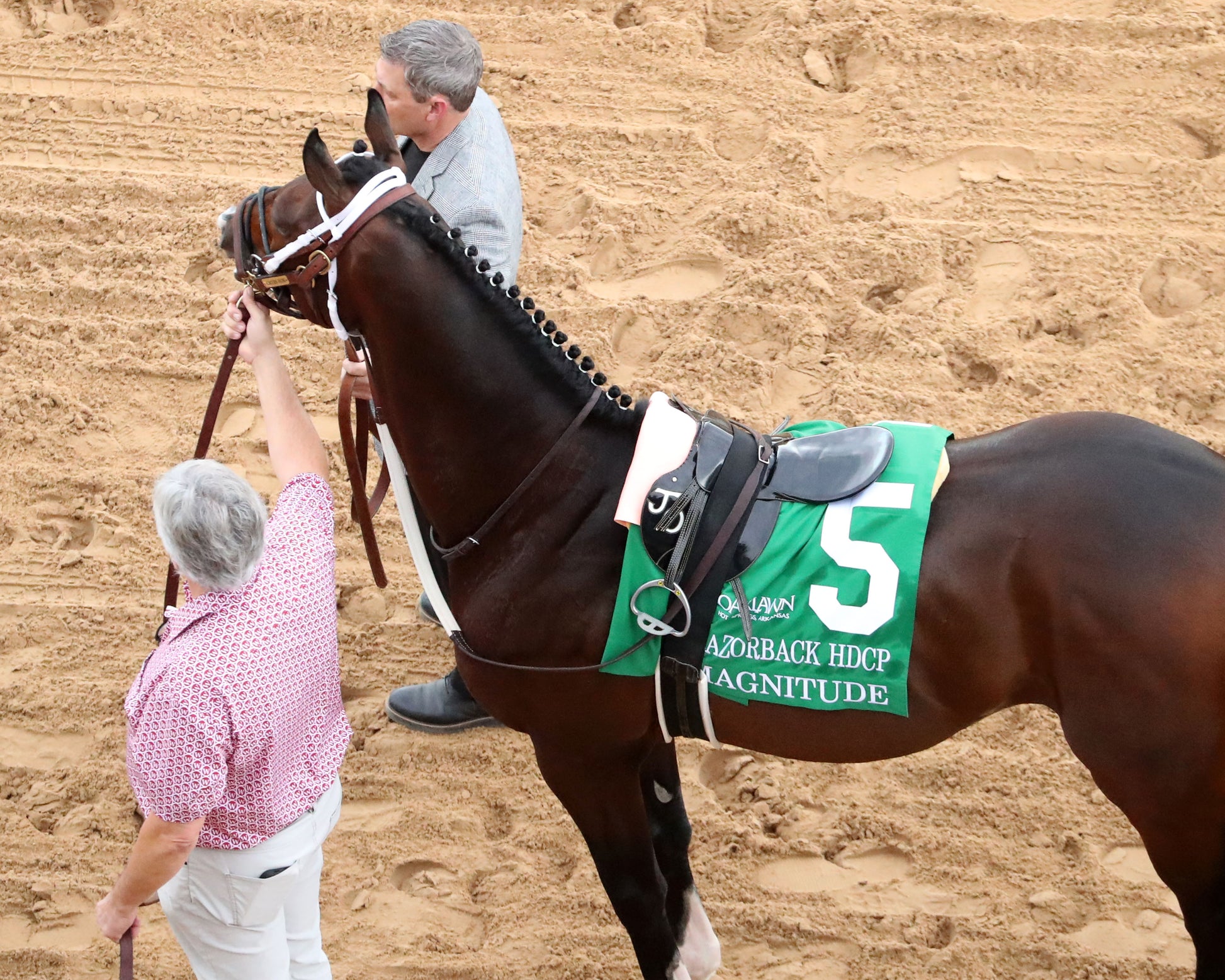 MAGNITUDE - The Razorback Handicap G3 - 02-28-26 - R10 - OP - Walk Over 01 - Coady Media - Kurtis Coady Photography