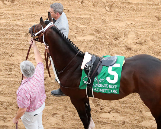 MAGNITUDE - The Razorback Handicap G3 - 02-28-26 - R10 - OP - Walk Over 01 - Coady Media - Kurtis Coady Photography
