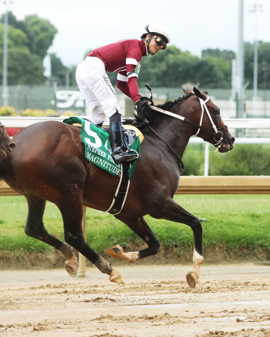 MAGNITUDE - The Stephen Foster - 062726 - Race 11 - CD  - Celebration 05