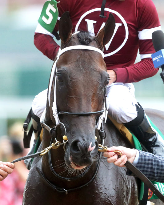 MAGNITUDE - The Stephen Foster - 062726 - Race 11 - CD  - Come Back 01