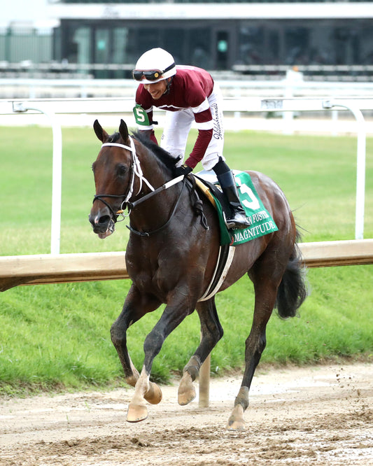 MAGNITUDE - The Stephen Foster - 062726 - Race 11 - CD  - Come Back 04