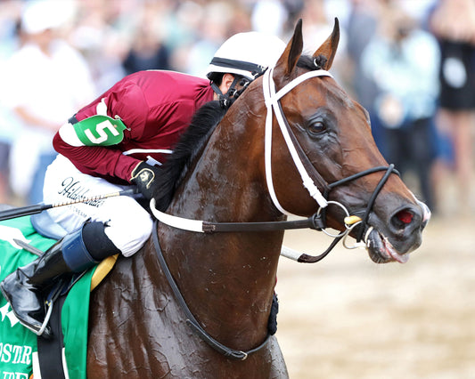 MAGNITUDE - The Stephen Foster - 062726 - Race 11 - CD  - Come Back Kiss 03