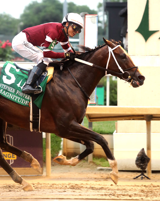 MAGNITUDE - The Stephen Foster - 062726 - Race 11 - CD  - Finish 06