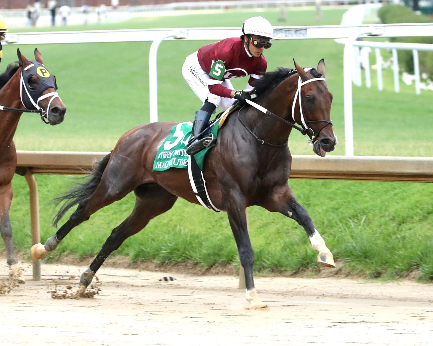 MAGNITUDE - The Stephen Foster - 062726 - Race 11 - CD  - First Pass 02