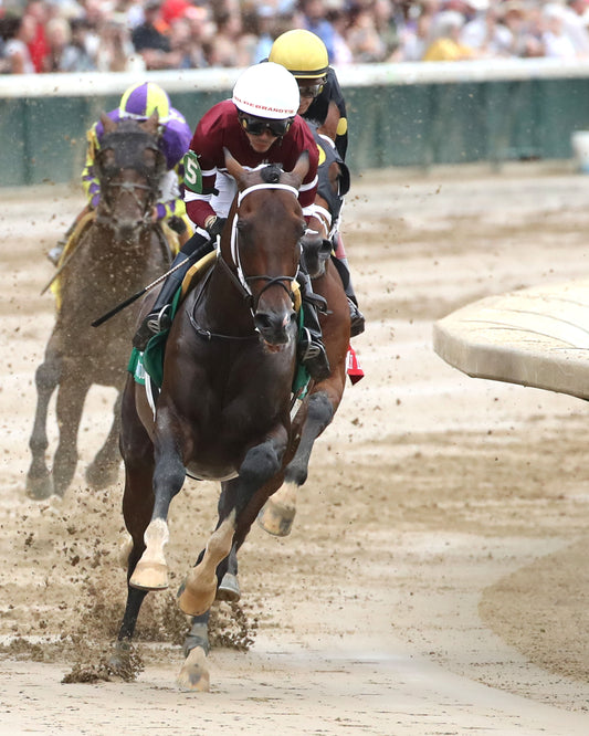 MAGNITUDE - The Stephen Foster - 062726 - Race 11 - CD  - First Pass 04