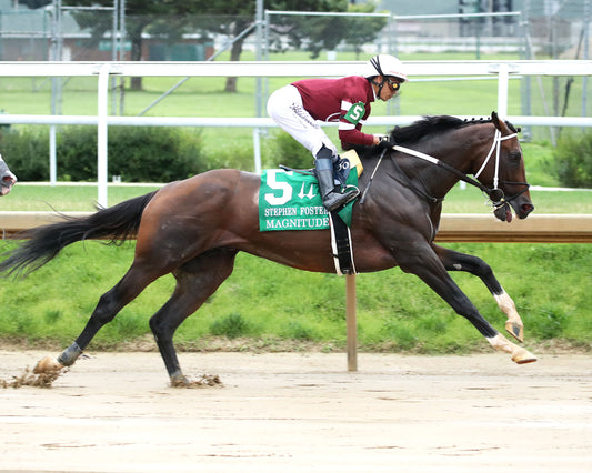 MAGNITUDE - The Stephen Foster - 062726 - Race 11 - CD  - First Pass 05