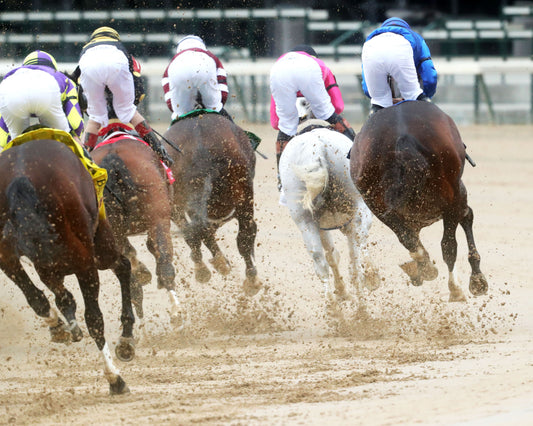 MAGNITUDE - The Stephen Foster - 062726 - Race 11 - CD  - First Turn 01