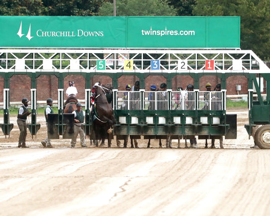 MAGNITUDE - The Stephen Foster - 062726 - Race 11 - CD  - Gate 01