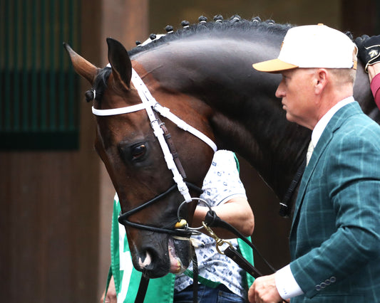 MAGNITUDE - The Stephen Foster - 062726 - Race 11 - CD  - Paddock 02