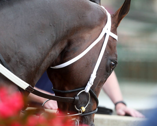 MAGNITUDE - The Stephen Foster - 062726 - Race 11 - CD  - Post Parade 01