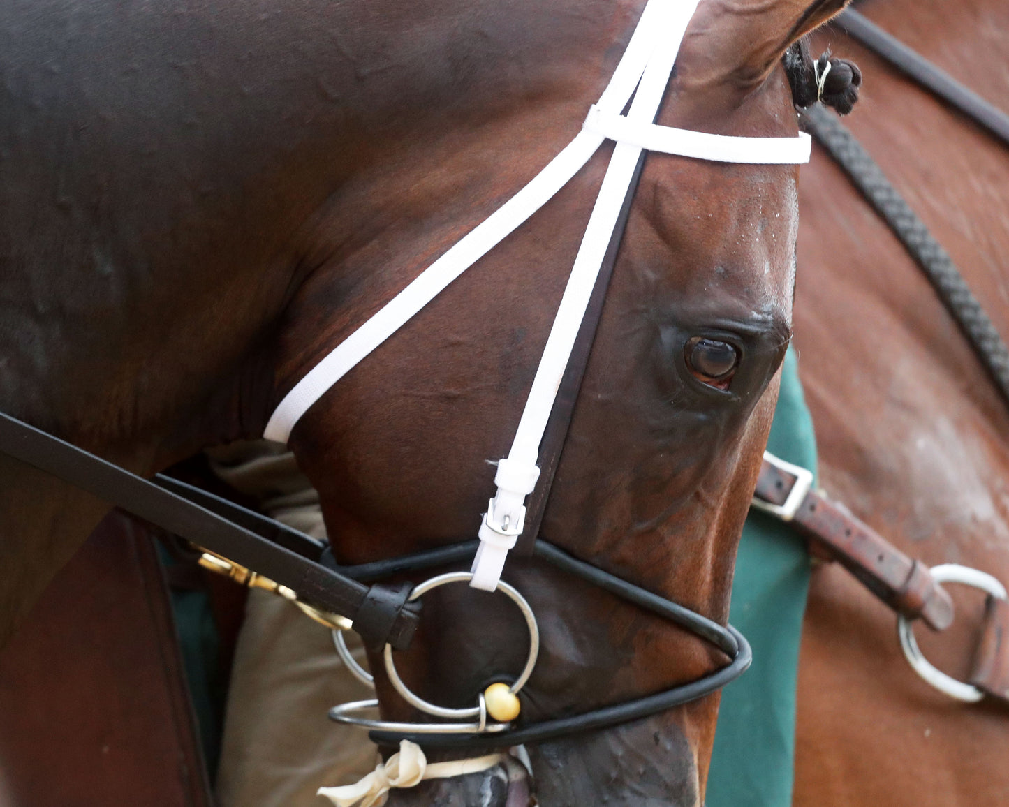 MAGNITUDE - The Stephen Foster - 062726 - Race 11 - CD  - Post Parade 02