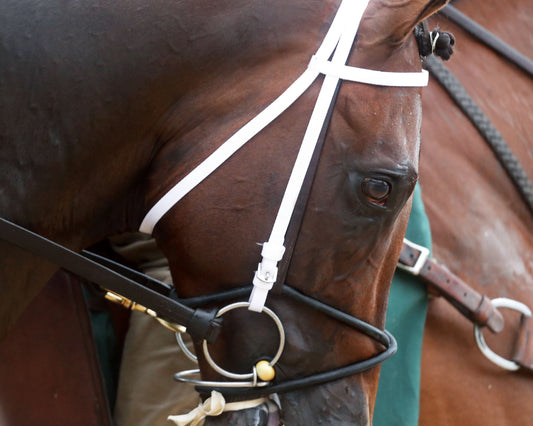 MAGNITUDE - The Stephen Foster - 062726 - Race 11 - CD  - Post Parade 02