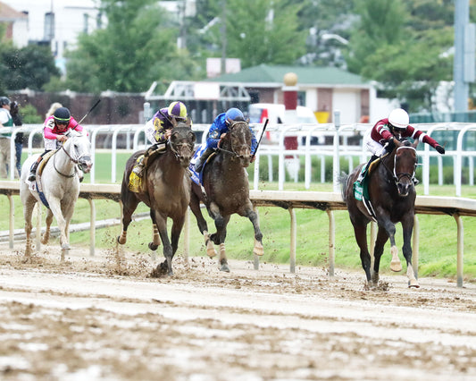 MAGNITUDE - The Stephen Foster - 062726 - Race 11 - CD  - Up The Track 01