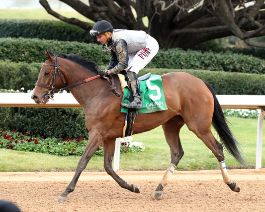 MAJESTIC OOPS - The American Beauty Stakes  - 02-13-26 - R08 - OP - Come Back 03 - Coady Media - Kurtis Coady Photography