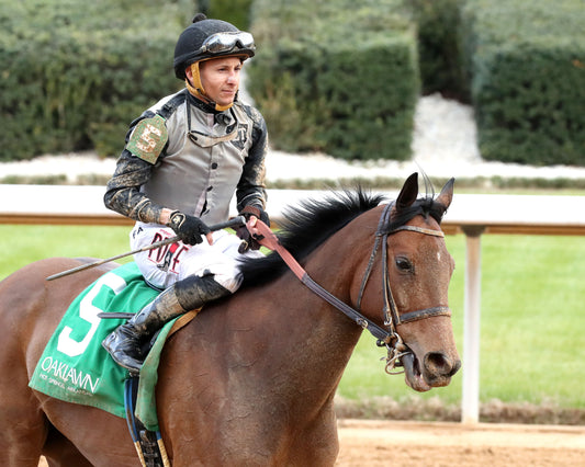 MAJESTIC OOPS - The American Beauty Stakes  - 02-13-26 - R08 - OP - Come Back 04 - Coady Media - Kurtis Coady Photography