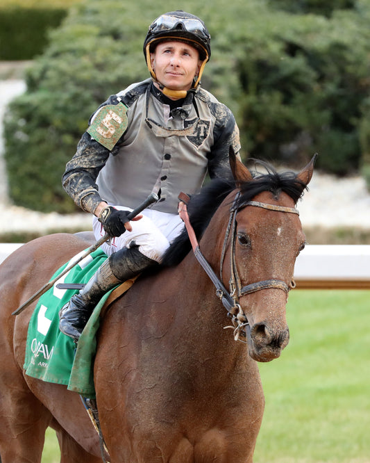 MAJESTIC OOPS - The American Beauty Stakes  - 02-13-26 - R08 - OP - Come Back 05 - Coady Media - Kurtis Coady Photography