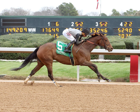 MAJESTIC OOPS - The American Beauty Stakes  - 02-13-26 - R08 - OP - Finish 01 - Coady Media - Kurtis Coady Photography