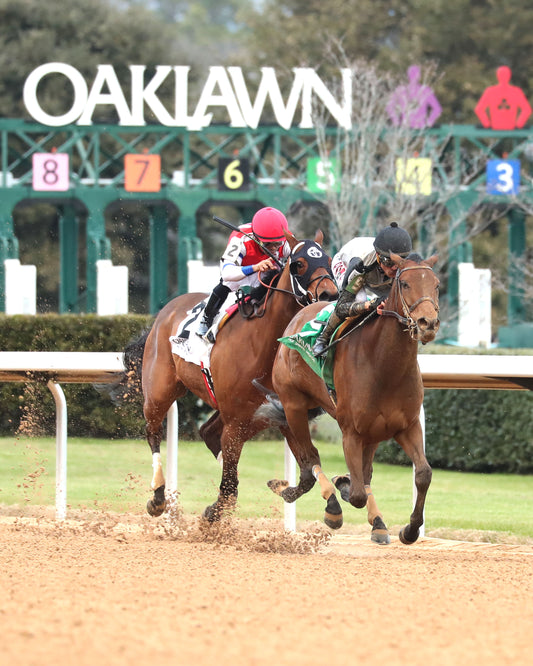 MAJESTIC OOPS - The American Beauty Stakes  - 02-13-26 - R08 - OP - Finish 02 - Coady Media - Kurtis Coady Photography