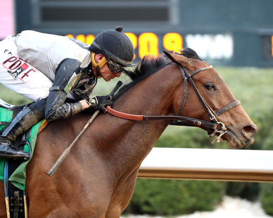 MAJESTIC OOPS - The American Beauty Stakes  - 02-13-26 - R08 - OP - Finish 03 - Coady Media - Kurtis Coady Photography