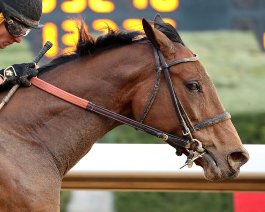MAJESTIC OOPS - The American Beauty Stakes  - 02-13-26 - R08 - OP - Finish 05 - Coady Media - Kurtis Coady Photography