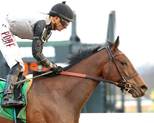 MAJESTIC OOPS - The American Beauty Stakes  - 02-13-26 - R08 - OP - Gallop Out 01 - Coady Media - Kurtis Coady Photography
