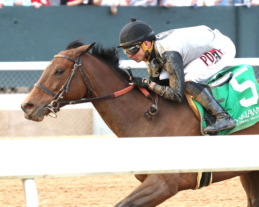 MAJESTIC OOPS - The American Beauty Stakes  - 02-13-26 - R08 - OP - Inside Finish 01 - Coady Media - Kurtis Coady Photography