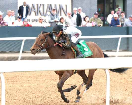 MAJESTIC OOPS - The American Beauty Stakes  - 02-13-26 - R08 - OP - Inside Finish 02 - Coady Media - Kurtis Coady Photography
